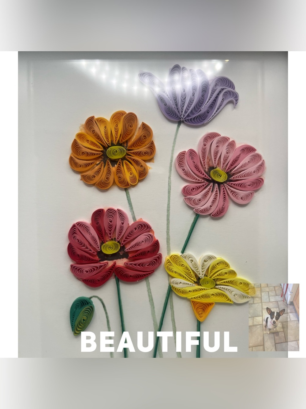 Papyrus Quilled Floral Card in Shadow Box Frame